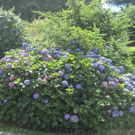 Le Relais De Porz Morvan Maison d'hôtes